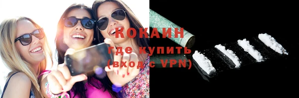 индика Покачи